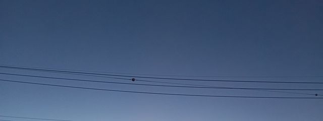 Reino.さんの壁紙画像