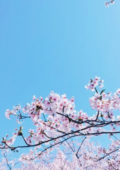 健全な雑談