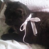 crushさんのアイコン画像