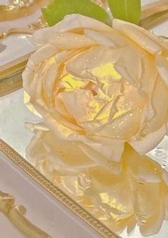 自由な世界へ飛び立った君へ．【参加型】