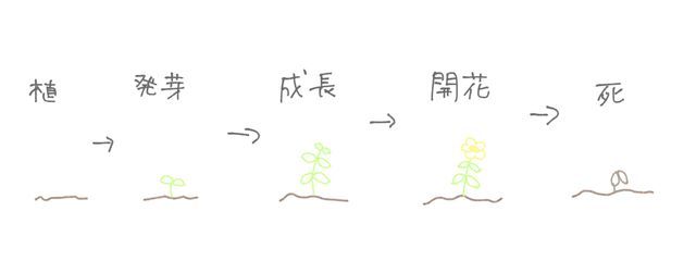 マピ@完全復活さんの壁紙画像
