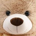 華どぅうぇーす