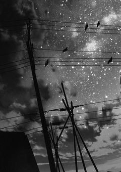 ˚✧illustration˚✧