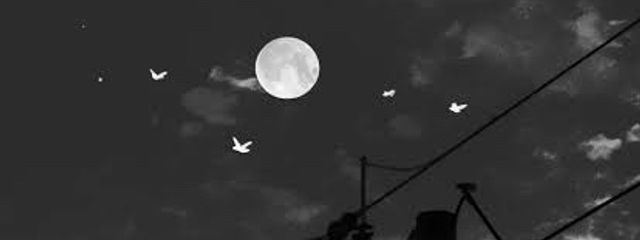 𝕠𝕥𝕠 垢移行 さんの壁紙画像