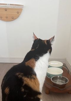 宣伝部屋✩.*˚