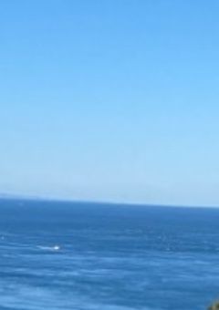 茶道部の実録！！！【AsAx狂人定期】