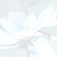 プリチューバー事務所with everyone【公式垢】さんのアイコン画像