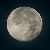 主役さんのアイコン画像