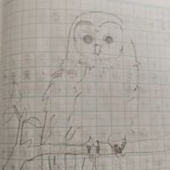 さくら猫🌸🐱🩷さんのアイコン画像