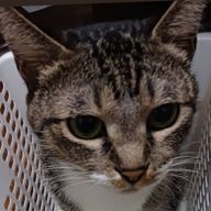 悠里さんのアイコン画像