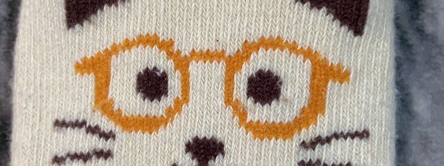 ネコ　　フォロバ100％さんの壁紙画像