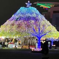 ネコ　　フォロバ100％さんのアイコン画像