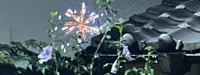 狐の嫁入りさんの壁紙画像