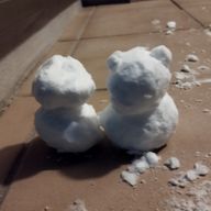 あやたかさんのアイコン画像