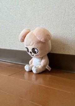 迷子のまま、君に恋をした