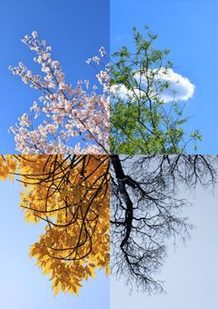 【🌈🕒参加型】春夏秋冬代行者