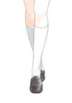 選択魔法学園【odmn】