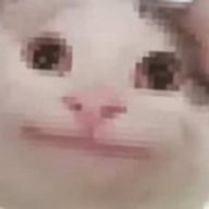 るな#低浮さんのアイコン画像