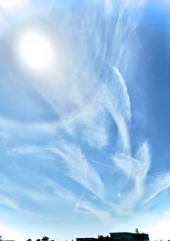 預かった貴方からの贈り物