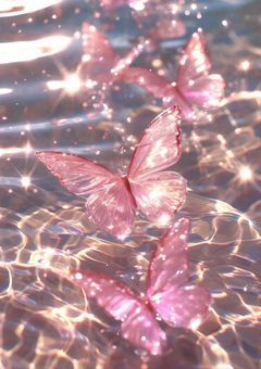   𝚘𝚜𝚗𝚔 ⌇ 新人 マネ , 勧誘 ばっか くる 件  。