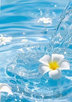   𝚘𝚜𝚗𝚔 ⌇ 嘘つき な 君に 恋 を した  。