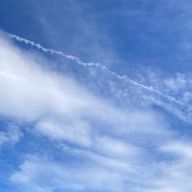 aoisoraさんのアイコン画像