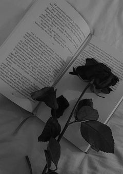 短編集𓂃𓈒𓂂𓋜