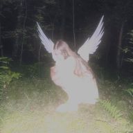 루가.*･ﾟさんのアイコン画像