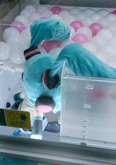 # せながとくるの会