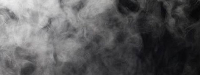 フォレストちゃん☆さんの壁紙画像