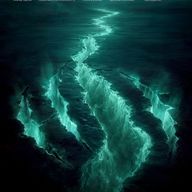     𝑵さんのアイコン画像