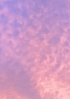 全国共通お友達探し💫🪄