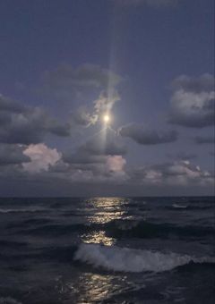 雑談