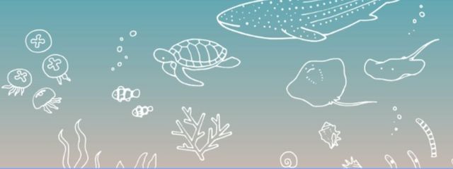 柳葉魚さんの壁紙画像