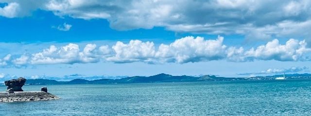 こはさんの壁紙画像