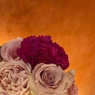 こはさんのアイコン画像