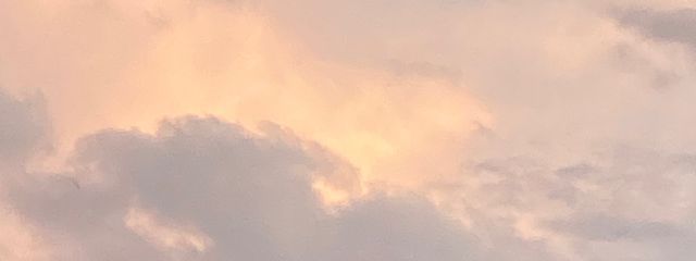 Ɲᘮᓰさんの壁紙画像