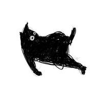黒猫のどんさんのアイコン画像