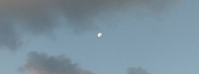 華　蓮さんの壁紙画像