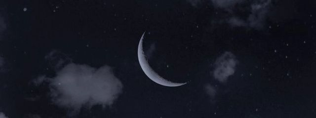 M🖤さんの壁紙画像