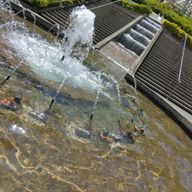 稜見さんのアイコン画像