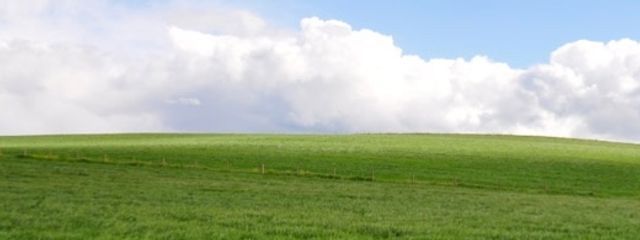 ぽん太さんの壁紙画像