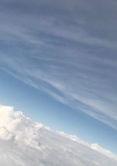『どうか私を買っていただけないでしょうか。』【📄TS曲パロ】