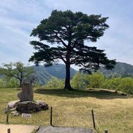 やまのぶ　活動休止中(投稿のみ) #花束が枯れぬように水やりさんのアイコン画像