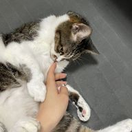 ZB1JAM❤STAYさんのアイコン画像