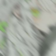 ての　,さんのアイコン画像