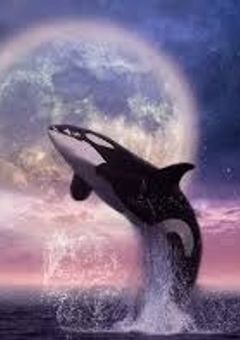 沙花叉クロヱの妹は転生しました