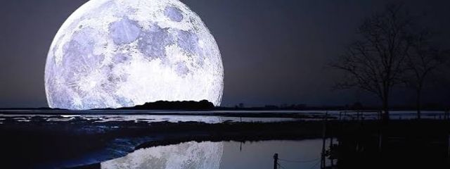 にまさんの壁紙画像