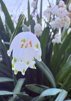 僕らはそれでも生き続ける