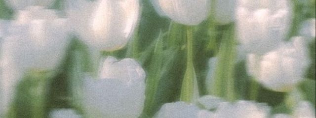 𝒮𝒽𝒾𝑜𝓇𝒾さんの壁紙画像